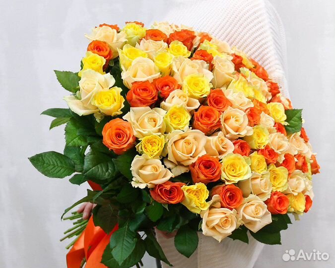 101 роза яркий микс (Россия)