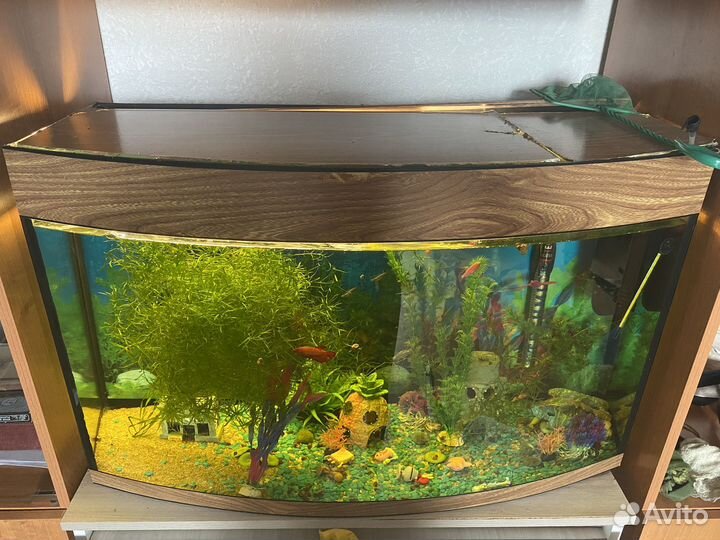 Аквариум