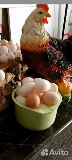 Козье молоко,яйца куриные
