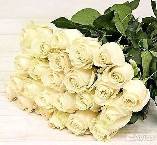 Высокие розы Доставка цветов