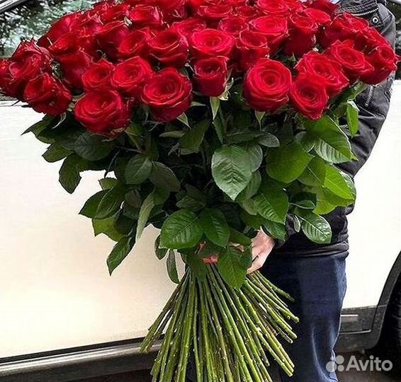 Розы Букеты Цветы Розы 31 101 151 201 Доставка