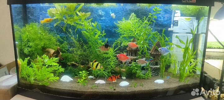 Аквариум