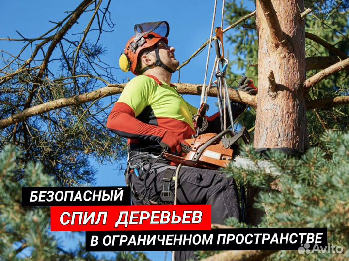 Покос травы / спил деревьев / расчистка участка