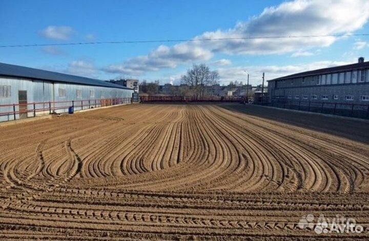 Конный клуб. Санкт-Петербург