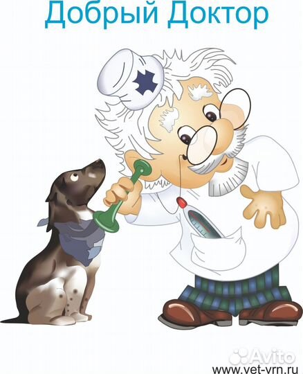 Ассистент ветеринарного врача
