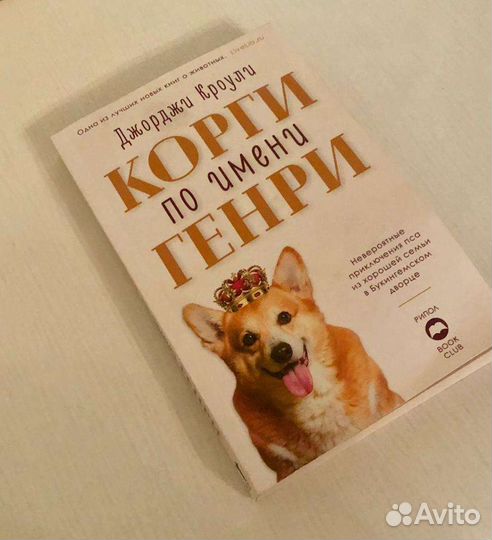 Корги по имени Генри. Джорджи Кроули