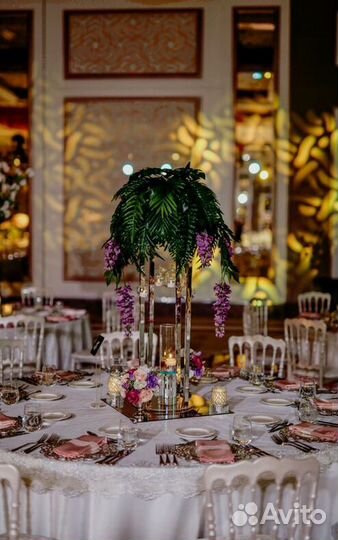 Стулья Кьявари