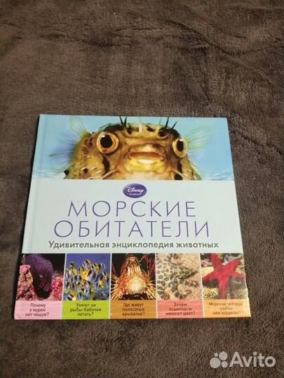Disney академия. Морские обитатели