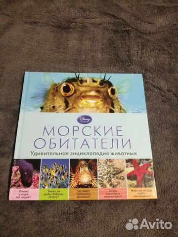 Disney академия. Морские обитатели