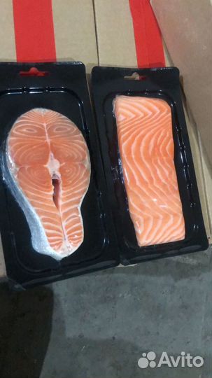 Семга охлажденная. Свежемороженый Лосось Атлантич