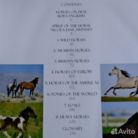 Spirit of the Horse, книга о лошадях из Англии