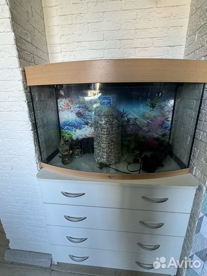 Аквариум