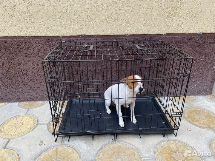 Клетка для животных