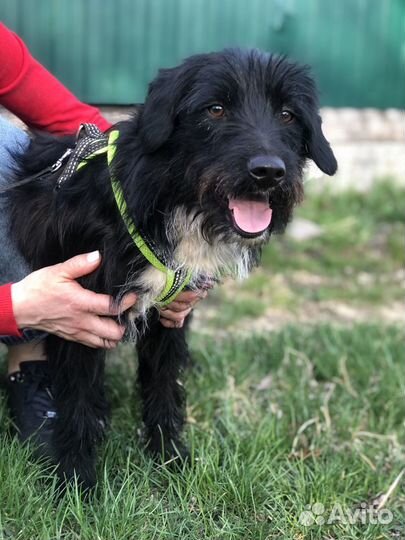 Ищем дом Кире