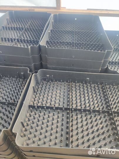 Лотки под выгонка тюльпана гидропоника