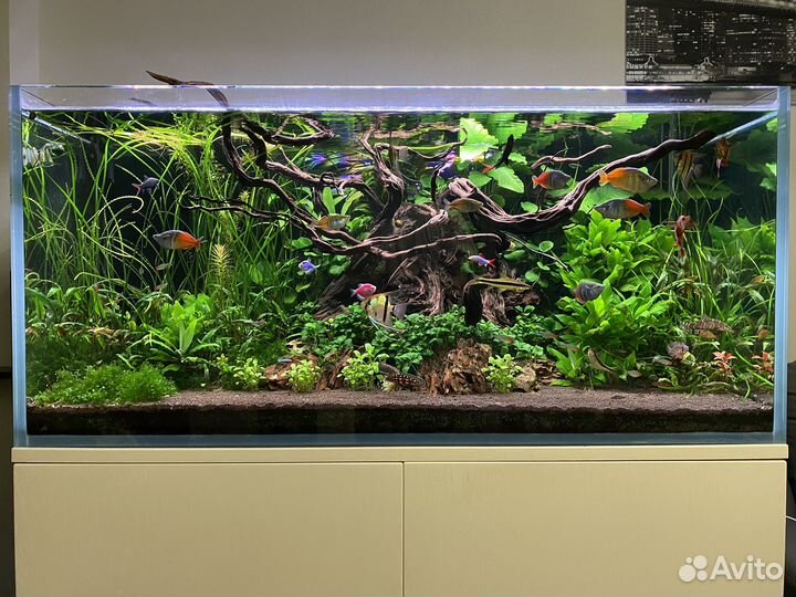 Аквариум 500 литров