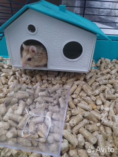 Клетка для грызунов с хомяком