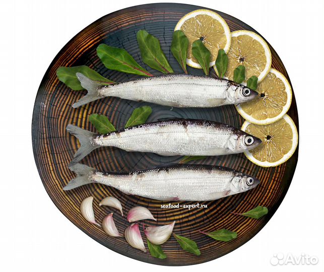 Ряпушка Северная Якутия