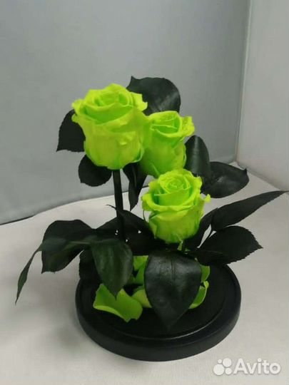 Роза в колбе оптом и в розницу