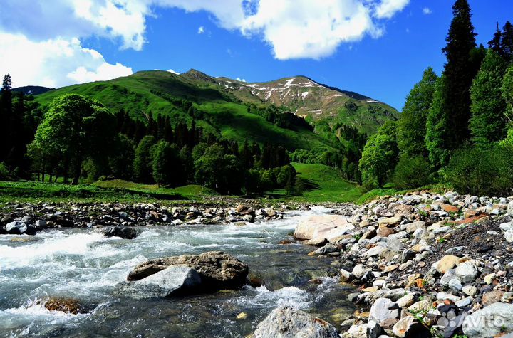 В Абхазию тур путевка 7 нч 4* завтрак