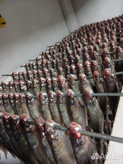 Рыба, вяленна