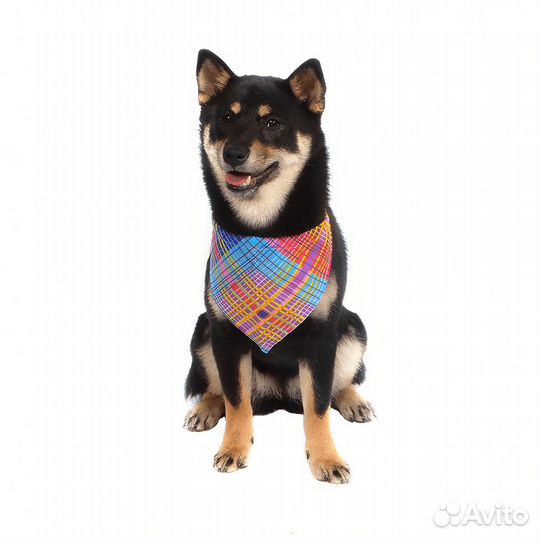 Tappi одежда бандана 