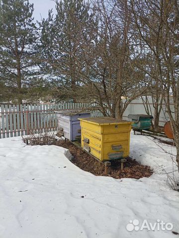 Улей для пчел