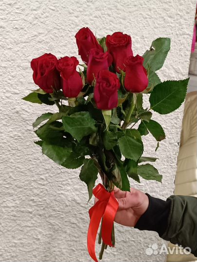 Букет 7 красных роз