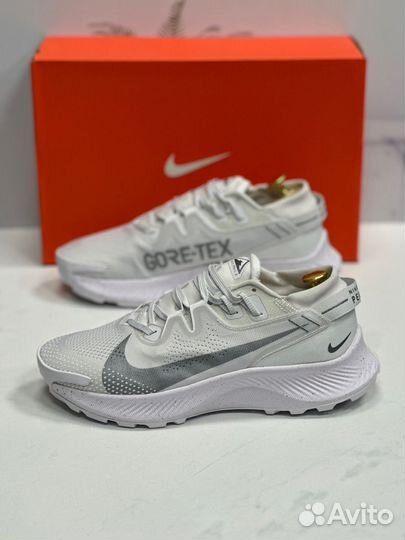 Кроссовки мужские Nike Pegasus Trail 2