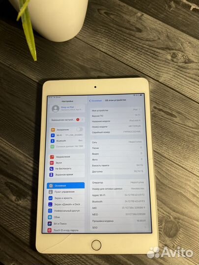 iPad mini 4 64gb cellular