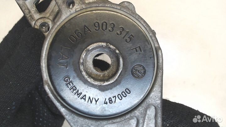 Натяжитель приводного ремня Volkswagen Jetta 5, 20