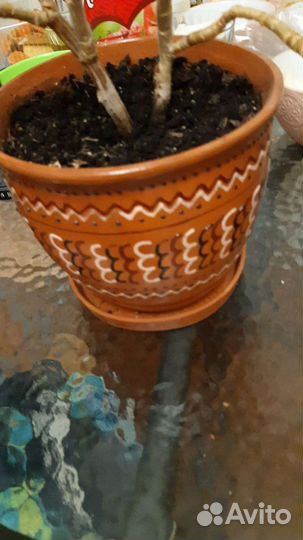 Горшок керамический