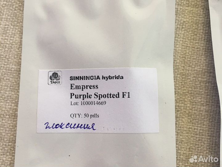 Профессиональные семена глоксиньи
