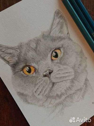 Художник-анималист