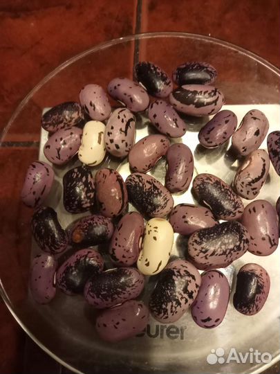 Турецкие бобы