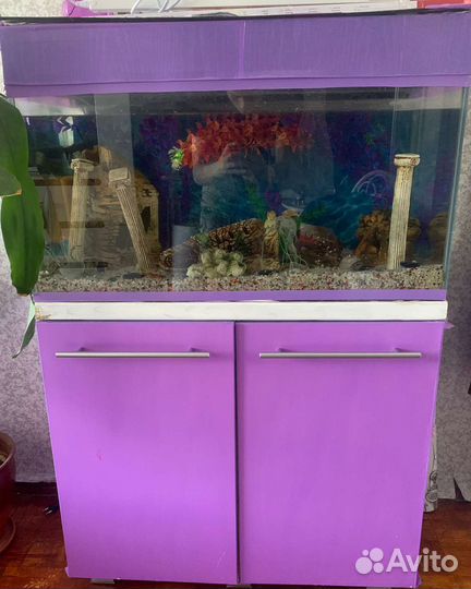 Аквариум