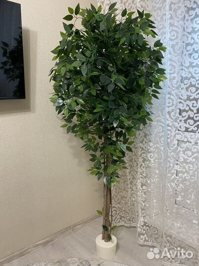 Искусственное дерево фикус