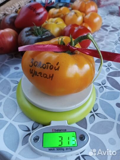 Семена томатов