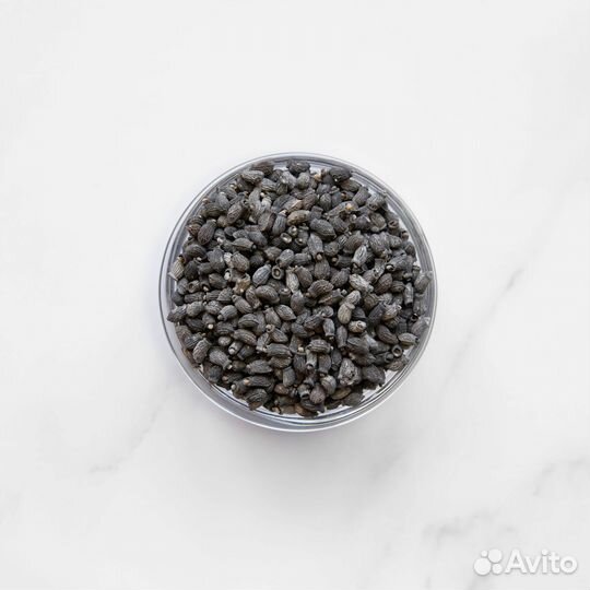 Семена для микрозелени