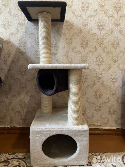 Когтеточка