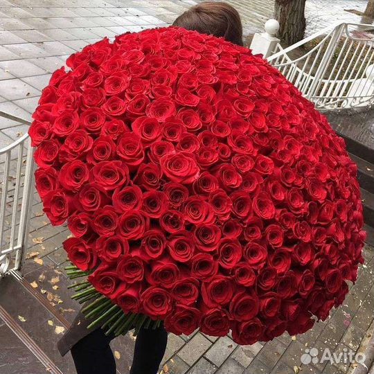 Роза свежий срез