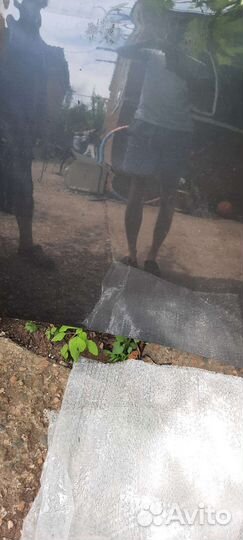 Капот,бампер мазда сх5