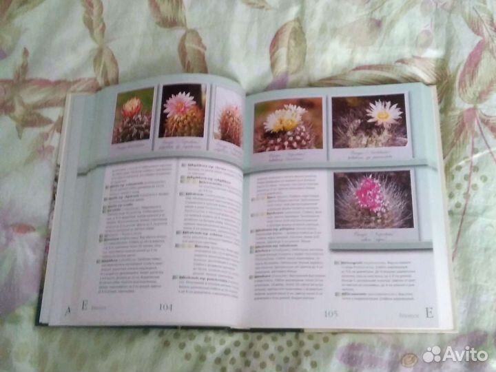 Полный справочник 