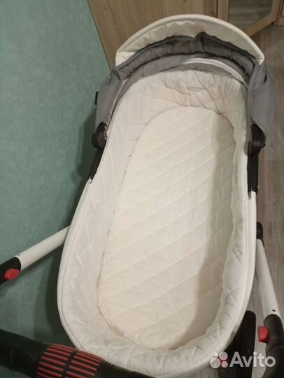 Коляска 2 в 1 Coletto Marsello