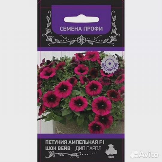 Петуния Шок Вейв Дип Парпл F1 ампельная