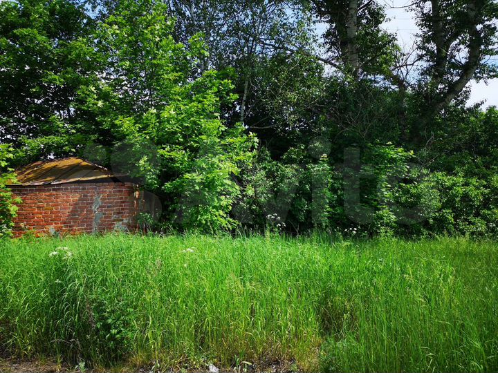 Дом 50 м² на участке 33 сот.