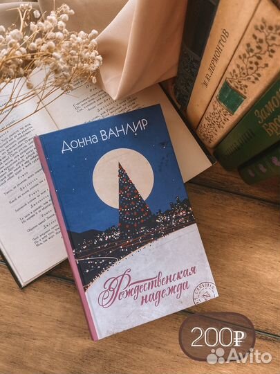 Донна Ванлир Рождественская надежда