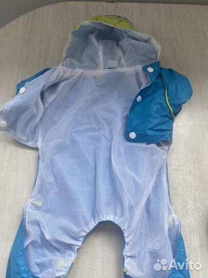 Одежда для маленькой собачки