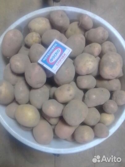 Продам картофель на корм скоту