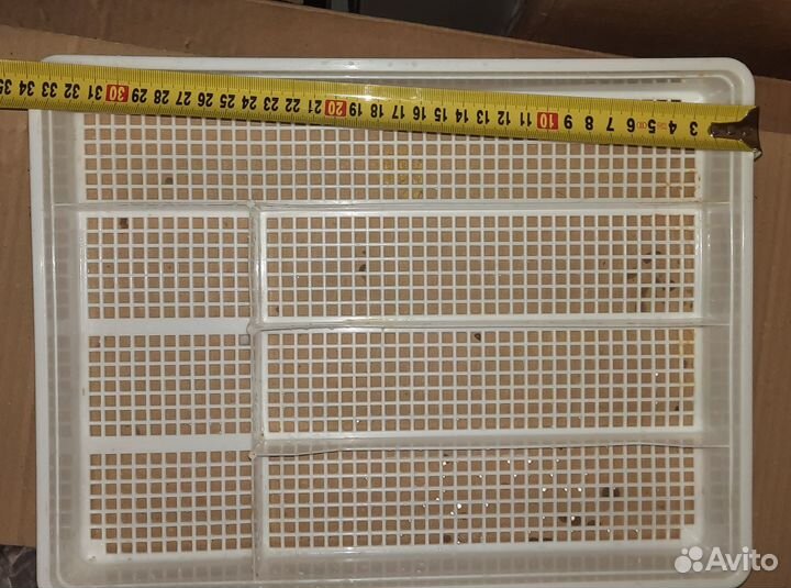 Отдам бесплатно в дар